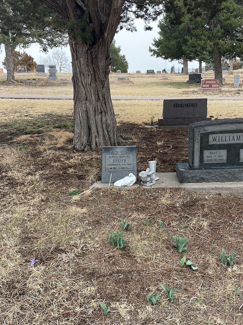 Monica Marlane Ziegler's grave. Photo 1