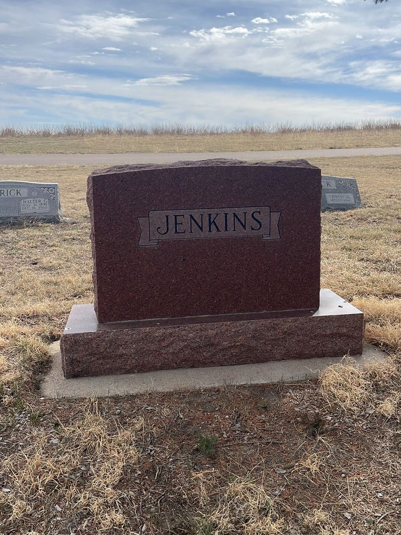 William James Jenkins's grave. Photo 1