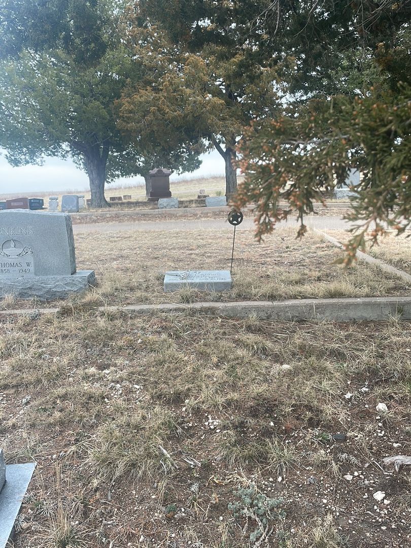 Lloyd T. Jenkins's grave. Photo 1