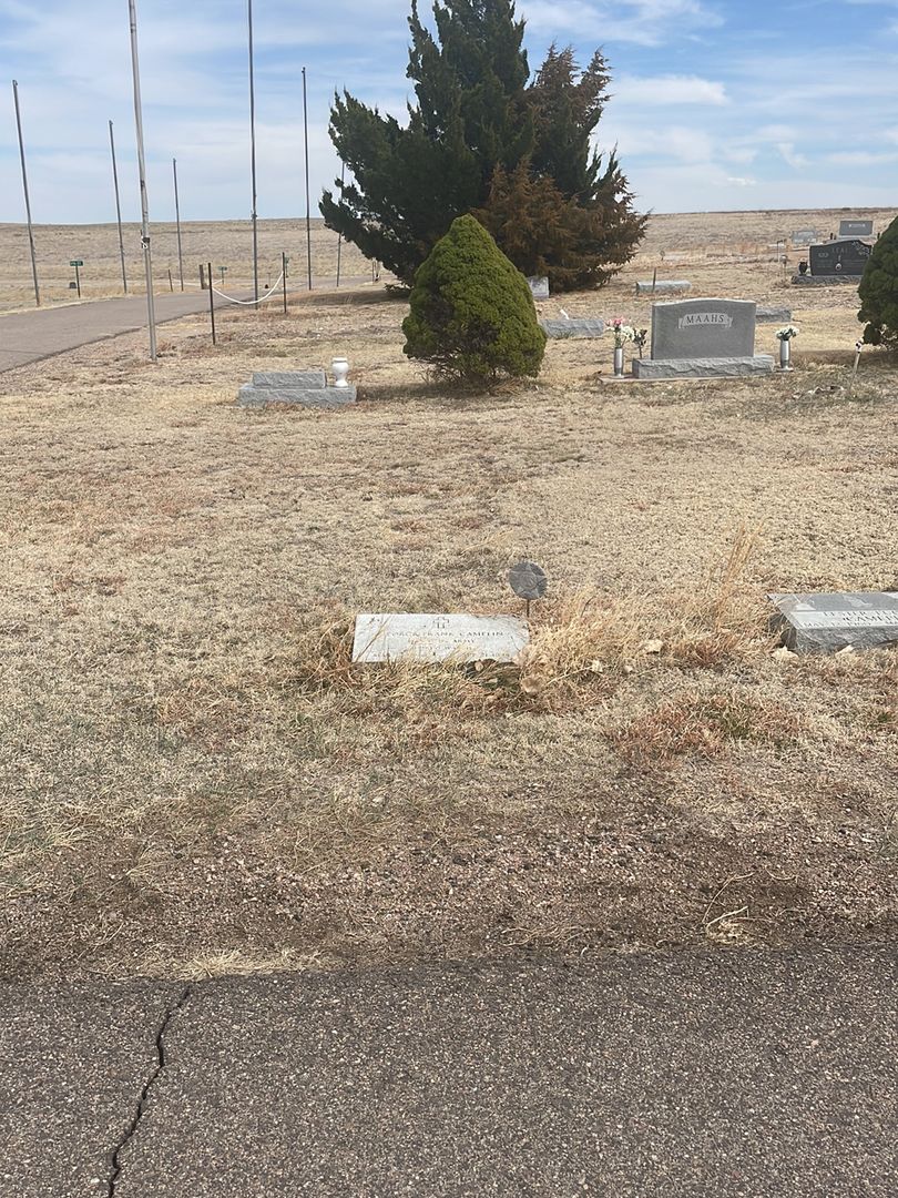 George Frank Camelin's grave. Photo 1