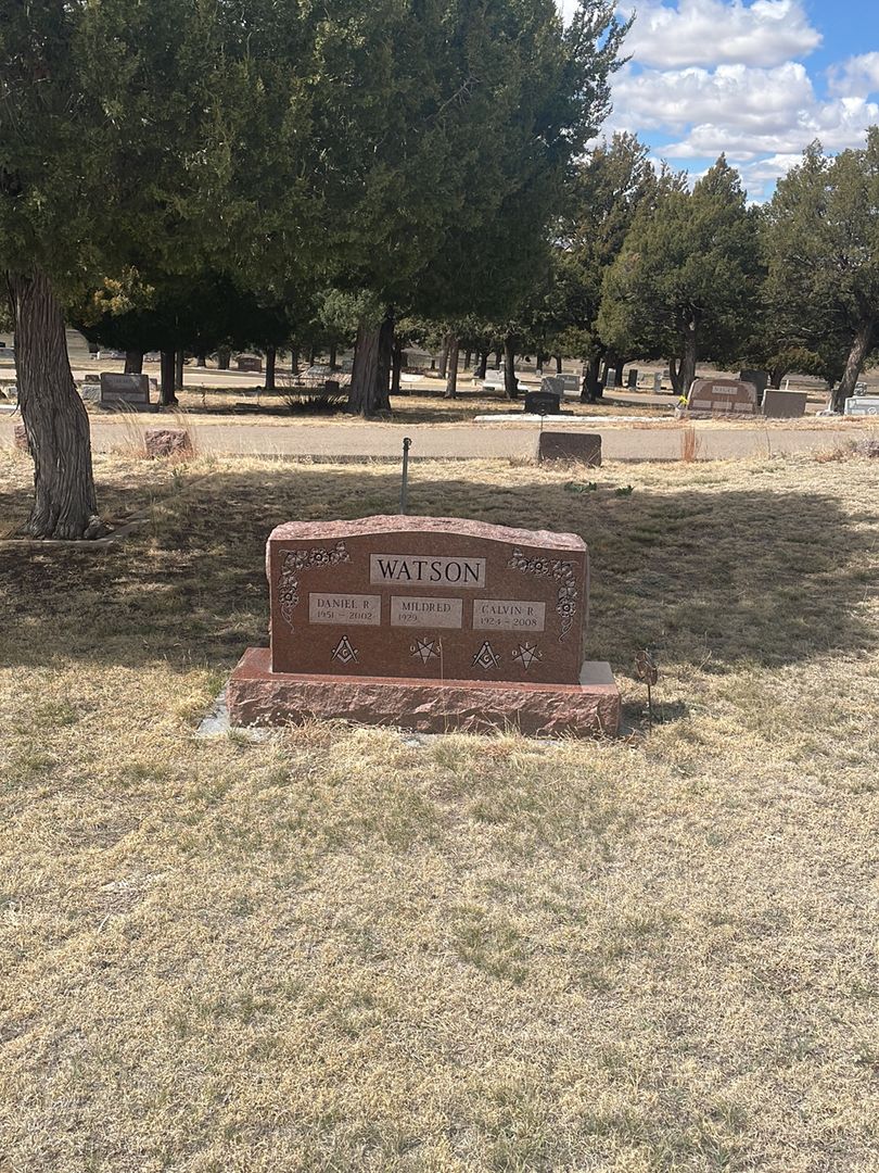 Calvin R. Watson's grave. Photo 1