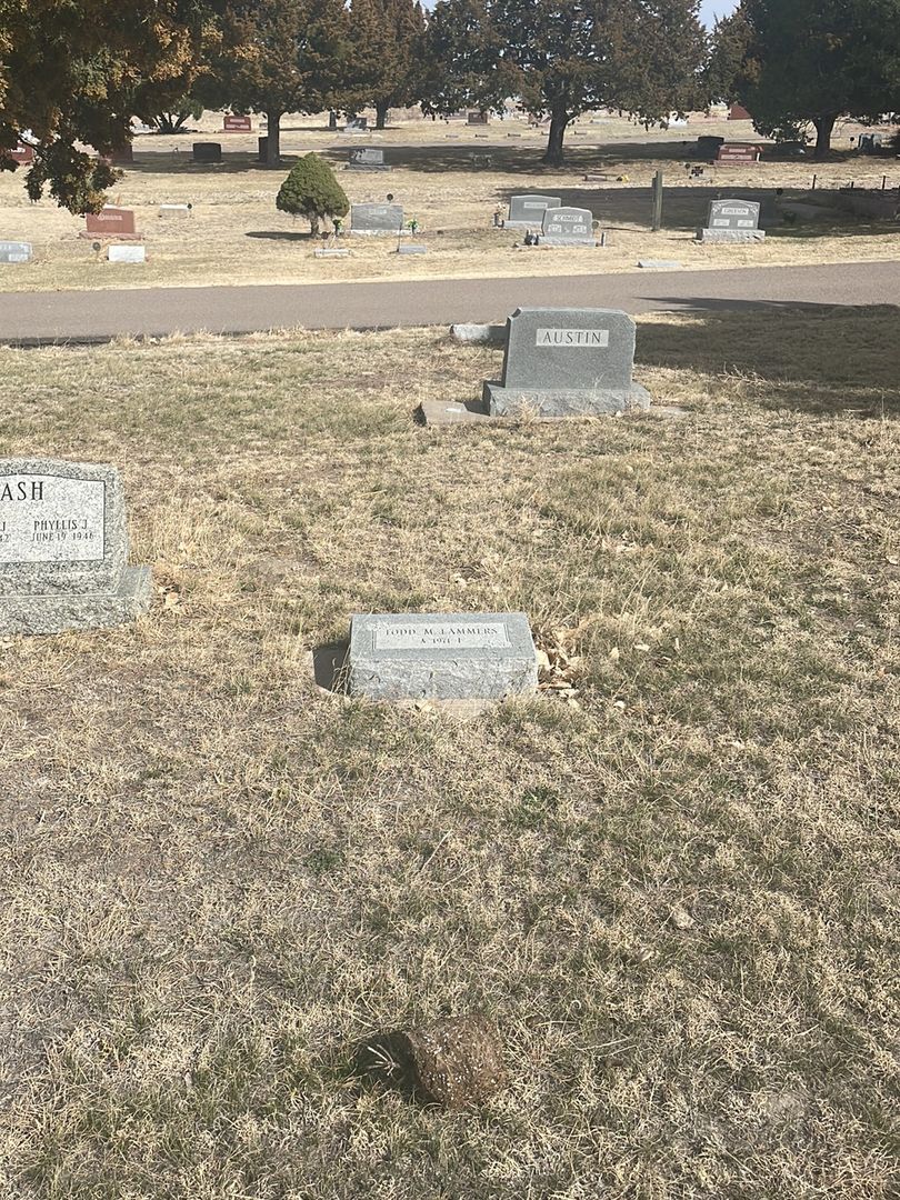 Todd M. Lammers's grave. Photo 1