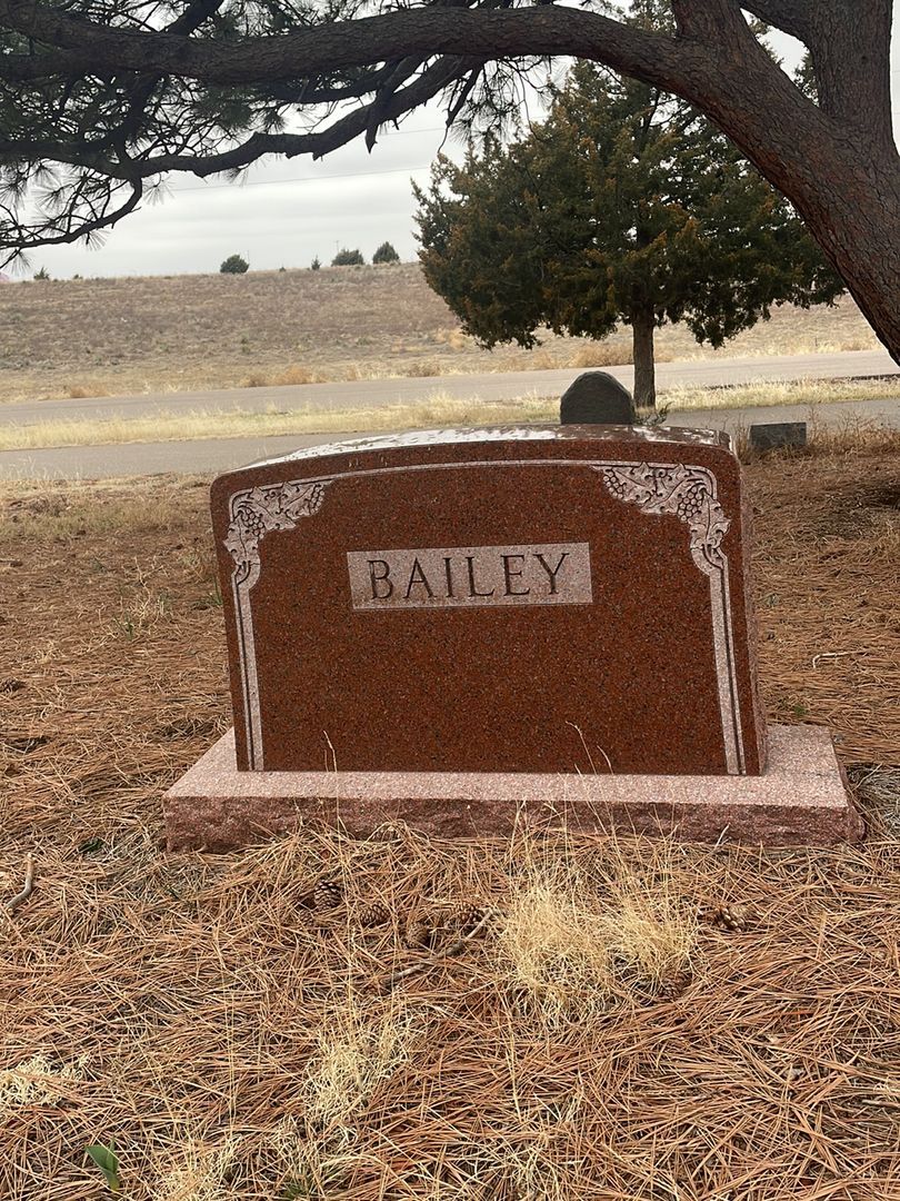 Nettie M. Bailey's grave. Photo 1